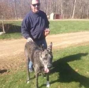 Meet your Posher, Glenn